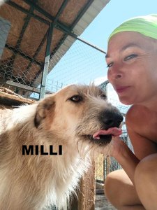 MILLI